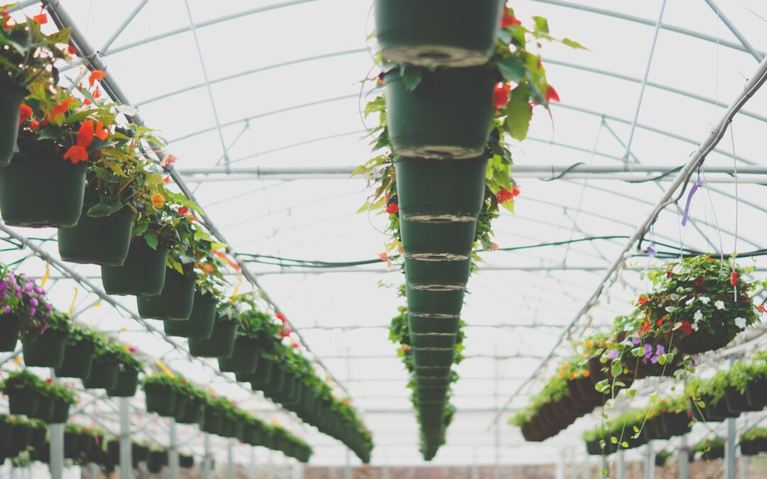 Fostering The Conditions For Innovation POST SHIFT