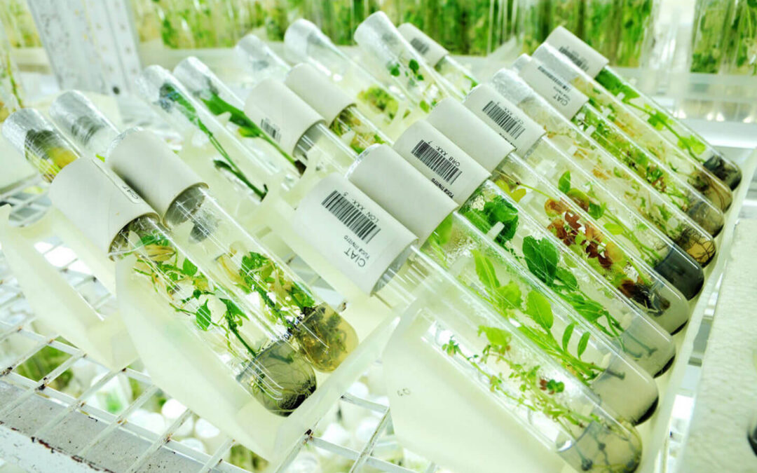 How to create Safe Spaces for Radical Experiments